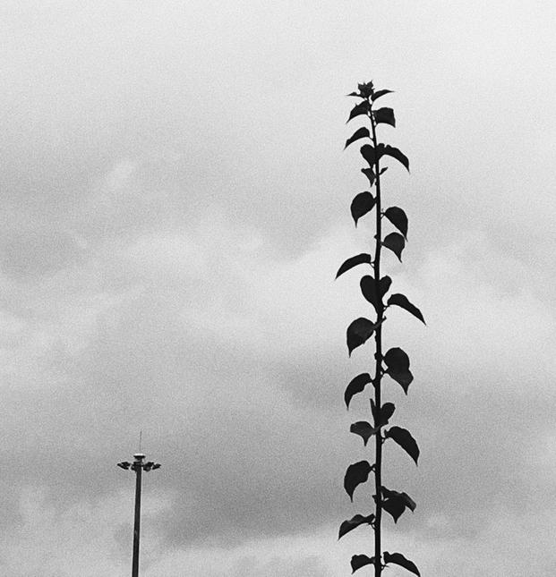 770CD773-CB48-4D30-8582-03A083363488